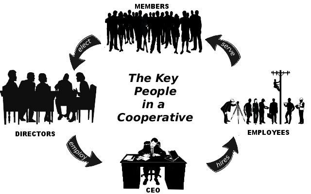 cooperative_circle.jpg